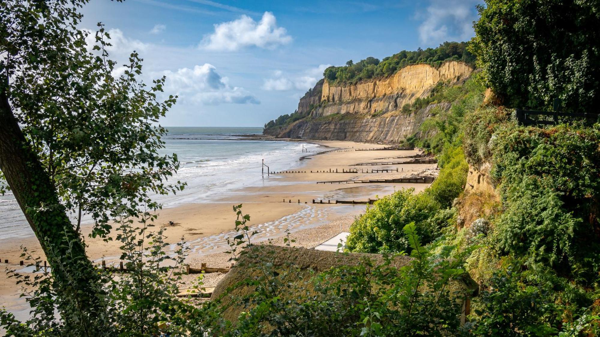 The Richmond Bed And Breakfast - Adults Only Shanklin Dış mekan fotoğraf